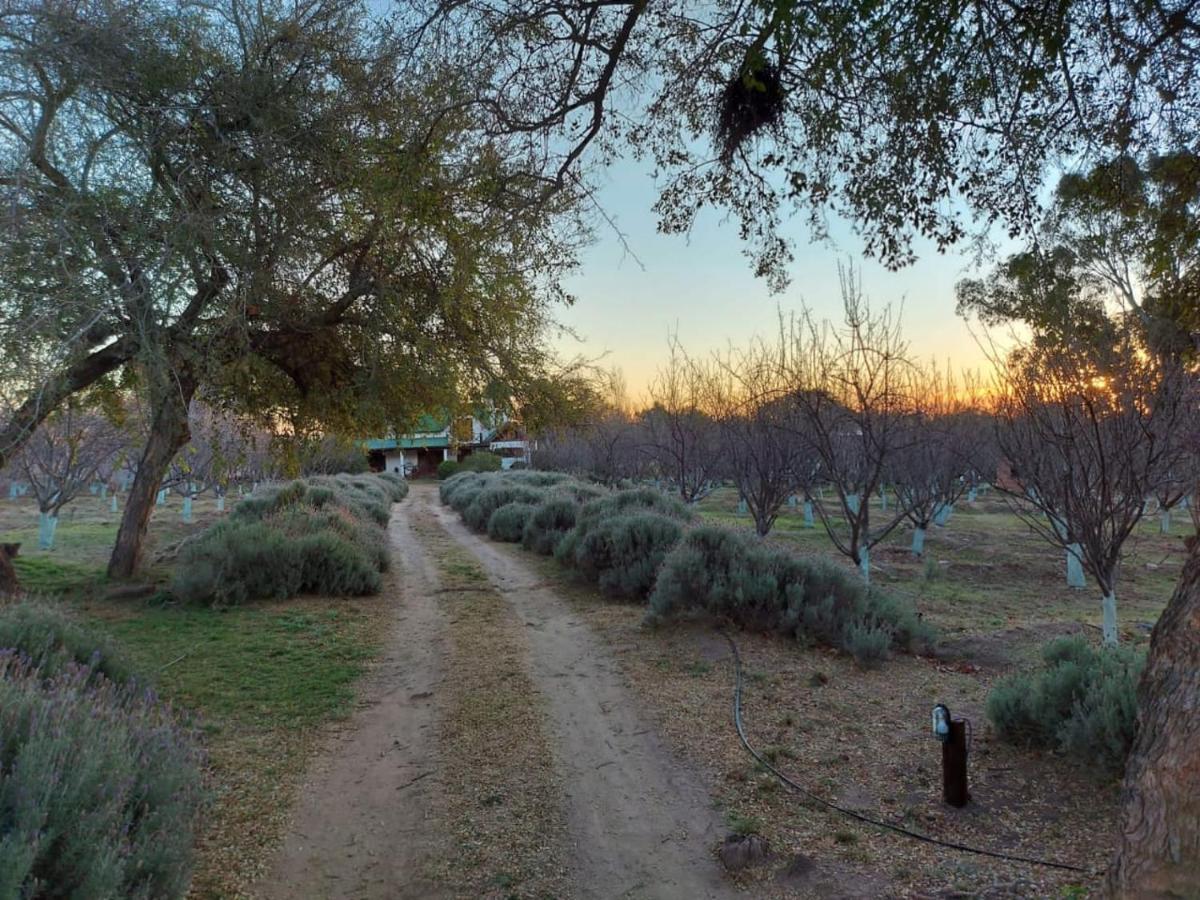Finca La Julia Luyaba エクステリア 写真