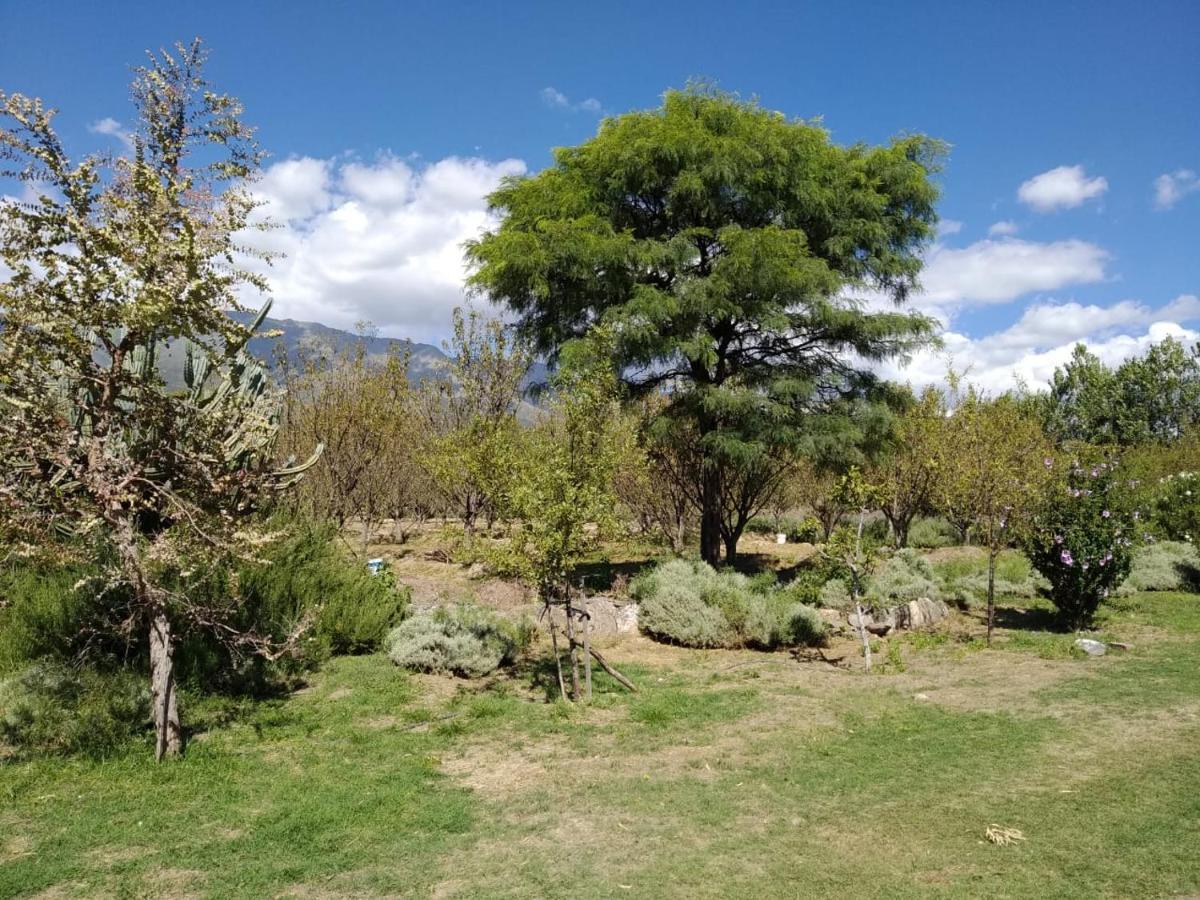Finca La Julia Luyaba エクステリア 写真